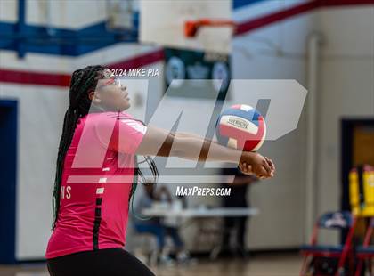 Thumbnail 2 in Pine Forest @ Terry Sanford photogallery.