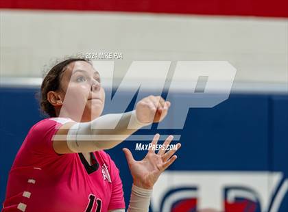 Thumbnail 2 in Pine Forest @ Terry Sanford photogallery.