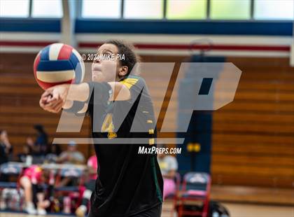 Thumbnail 3 in Pine Forest @ Terry Sanford photogallery.