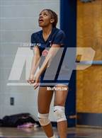 Photo from the gallery "Pine Forest @ Terry Sanford"