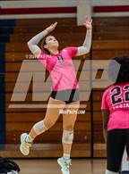 Photo from the gallery "Pine Forest @ Terry Sanford"