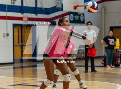 Thumbnail 2 in Pine Forest @ Terry Sanford photogallery.