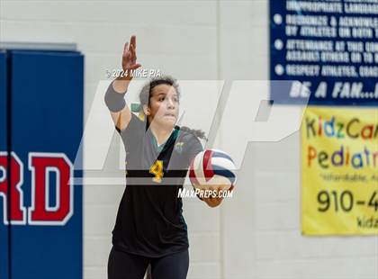 Thumbnail 2 in Pine Forest @ Terry Sanford photogallery.