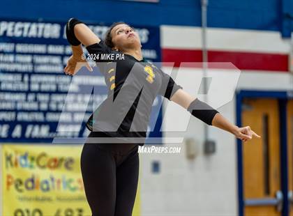 Thumbnail 3 in Pine Forest @ Terry Sanford photogallery.