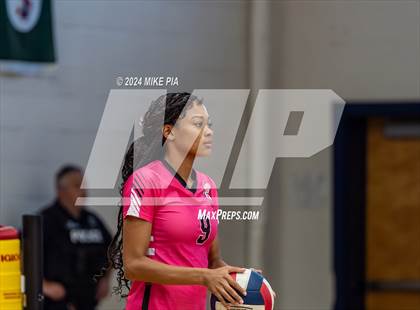 Thumbnail 1 in Pine Forest @ Terry Sanford photogallery.