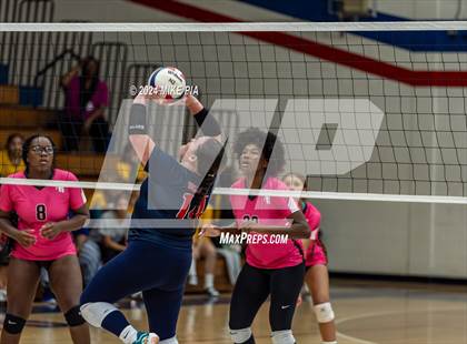 Thumbnail 3 in Pine Forest @ Terry Sanford photogallery.