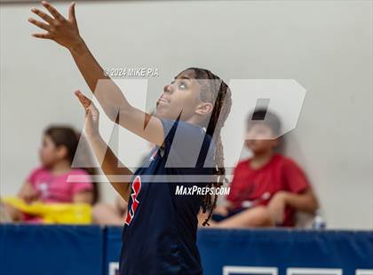 Thumbnail 2 in Pine Forest @ Terry Sanford photogallery.