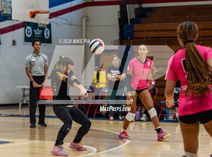 Thumbnail 1 in Pine Forest @ Terry Sanford photogallery.