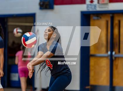 Thumbnail 2 in Pine Forest @ Terry Sanford photogallery.