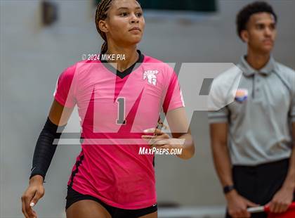 Thumbnail 3 in Pine Forest @ Terry Sanford photogallery.