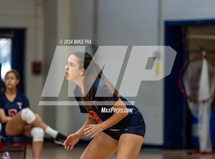 Thumbnail 3 in Pine Forest @ Terry Sanford photogallery.