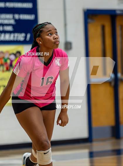 Thumbnail 2 in Pine Forest @ Terry Sanford photogallery.
