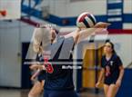 Photo from the gallery "Pine Forest @ Terry Sanford"