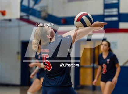 Thumbnail 1 in Pine Forest @ Terry Sanford photogallery.