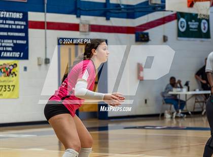 Thumbnail 3 in Pine Forest @ Terry Sanford photogallery.