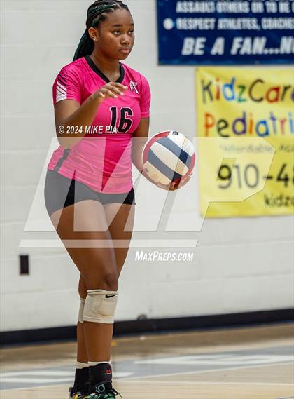 Thumbnail 1 in Pine Forest @ Terry Sanford photogallery.