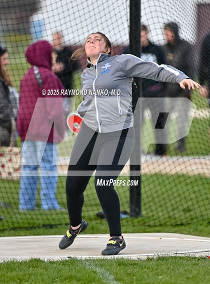 Thumbnail 3 in Wes-Del Triangular (Discus)  photogallery.