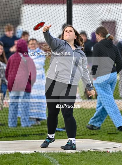 Thumbnail 2 in Wes-Del Triangular (Discus)  photogallery.