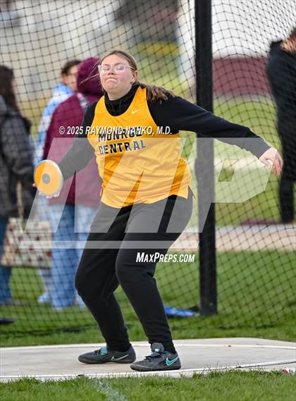 Thumbnail 1 in Wes-Del Triangular (Discus)  photogallery.