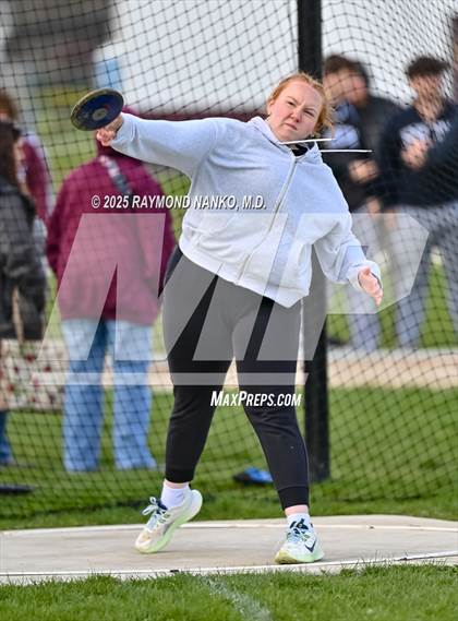 Thumbnail 2 in Wes-Del Triangular (Discus)  photogallery.