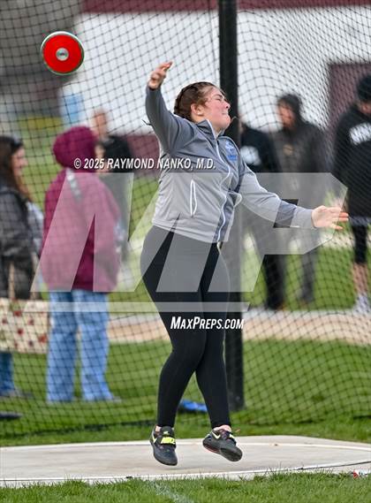 Thumbnail 2 in Wes-Del Triangular (Discus)  photogallery.