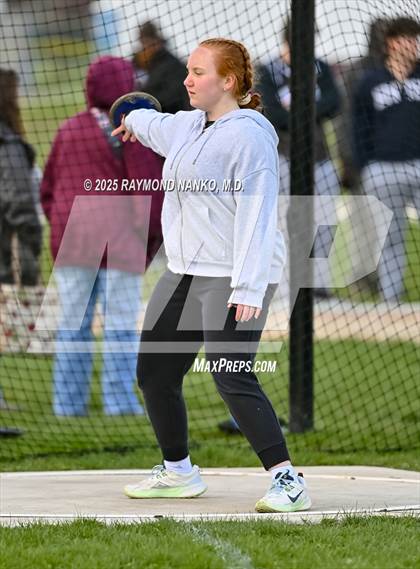 Thumbnail 2 in Wes-Del Triangular (Discus)  photogallery.