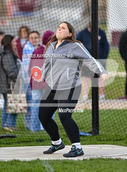 Thumbnail 3 in Wes-Del Triangular (Discus)  photogallery.