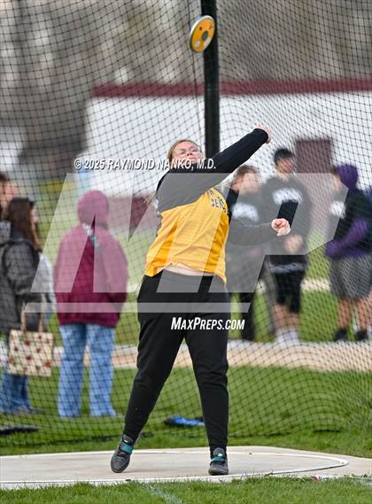 Thumbnail 1 in Wes-Del Triangular (Discus)  photogallery.