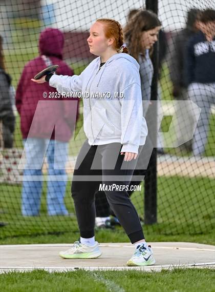 Thumbnail 3 in Wes-Del Triangular (Discus)  photogallery.