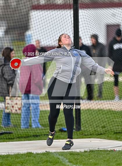 Thumbnail 1 in Wes-Del Triangular (Discus)  photogallery.