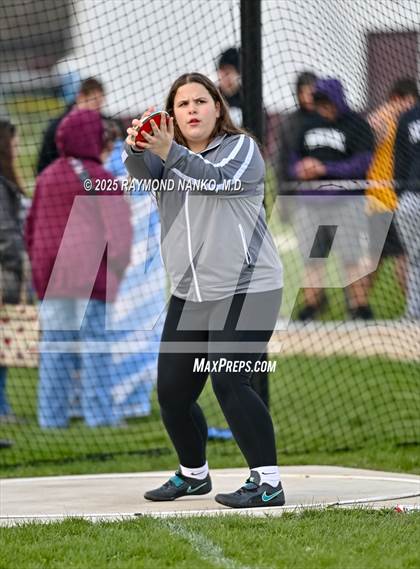 Thumbnail 3 in Wes-Del Triangular (Discus)  photogallery.