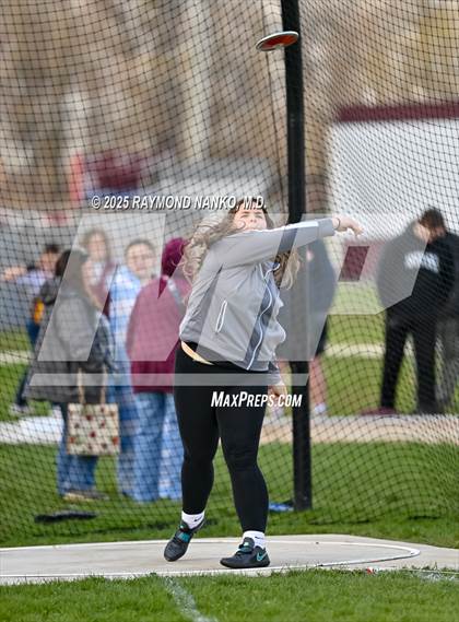 Thumbnail 3 in Wes-Del Triangular (Discus)  photogallery.