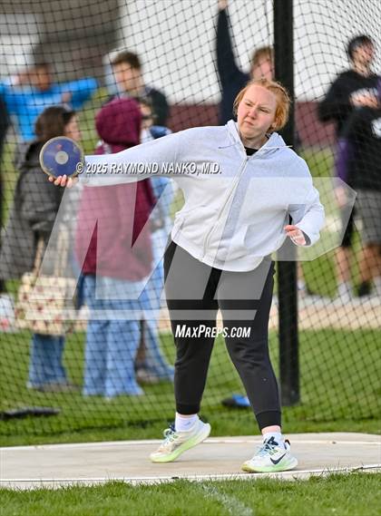 Thumbnail 3 in Wes-Del Triangular (Discus)  photogallery.