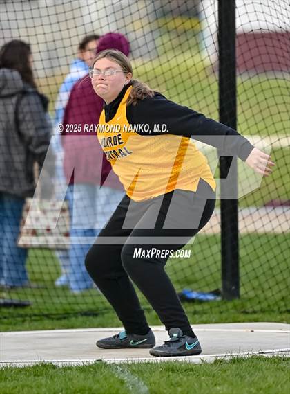 Thumbnail 3 in Wes-Del Triangular (Discus)  photogallery.