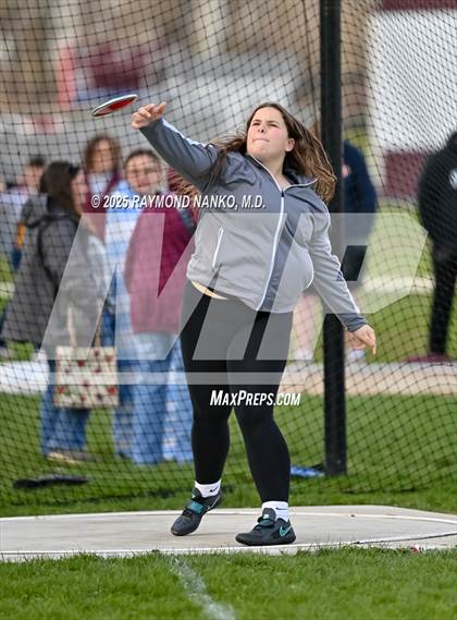 Thumbnail 2 in Wes-Del Triangular (Discus)  photogallery.
