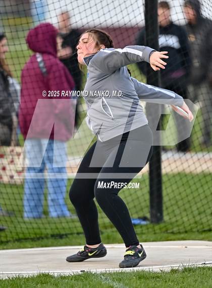 Thumbnail 2 in Wes-Del Triangular (Discus)  photogallery.