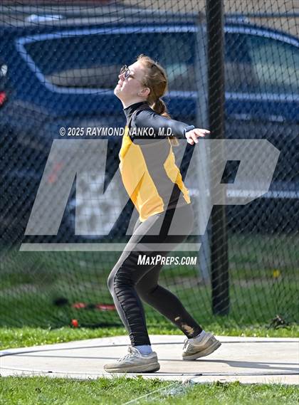 Thumbnail 3 in Wes-Del Triangular (Discus)  photogallery.