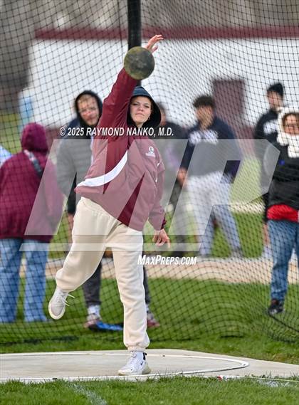 Thumbnail 1 in Wes-Del Triangular (Discus)  photogallery.
