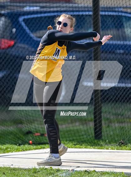 Thumbnail 3 in Wes-Del Triangular (Discus)  photogallery.