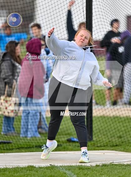 Thumbnail 1 in Wes-Del Triangular (Discus)  photogallery.
