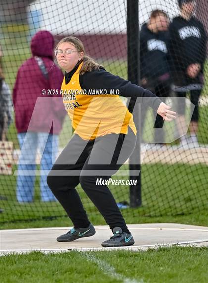 Thumbnail 3 in Wes-Del Triangular (Discus)  photogallery.