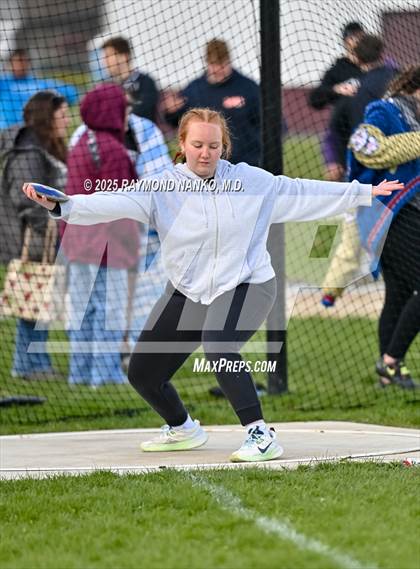Thumbnail 2 in Wes-Del Triangular (Discus)  photogallery.