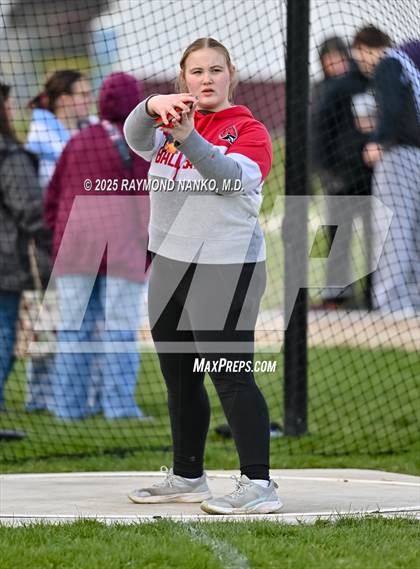 Thumbnail 2 in Wes-Del Triangular (Discus)  photogallery.