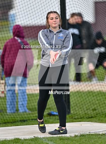 Thumbnail 1 in Wes-Del Triangular (Discus)  photogallery.
