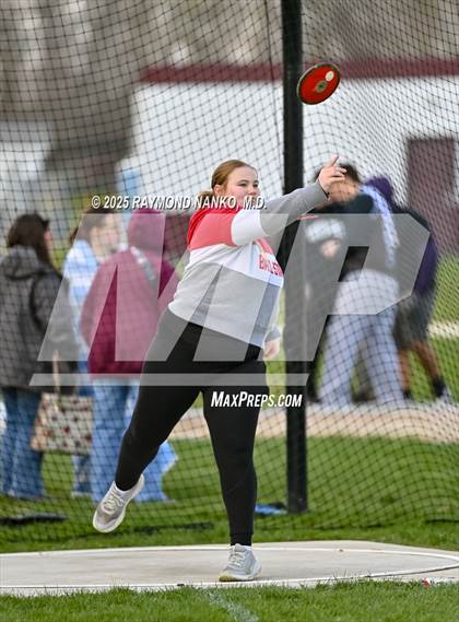 Thumbnail 3 in Wes-Del Triangular (Discus)  photogallery.