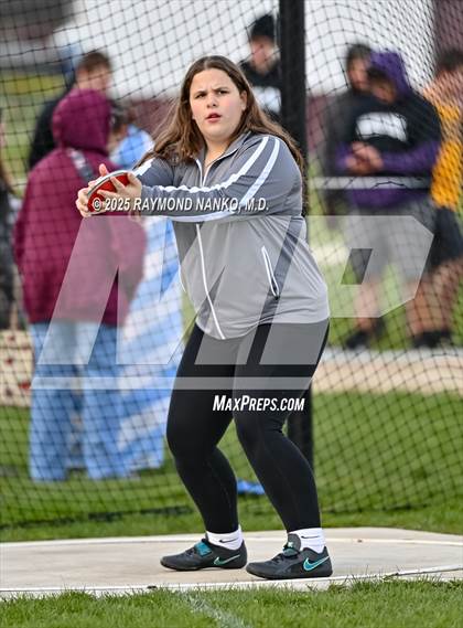 Thumbnail 1 in Wes-Del Triangular (Discus)  photogallery.