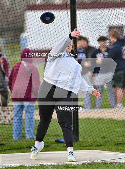 Thumbnail 3 in Wes-Del Triangular (Discus)  photogallery.