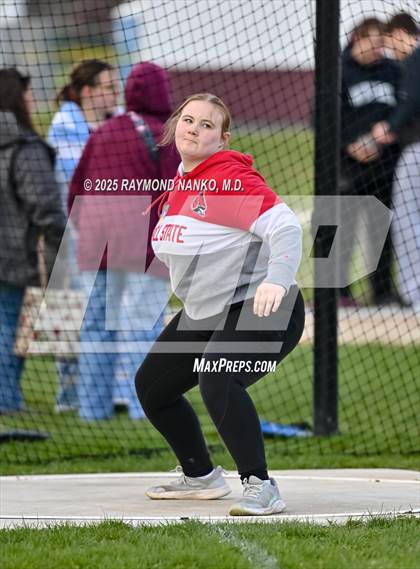 Thumbnail 2 in Wes-Del Triangular (Discus)  photogallery.