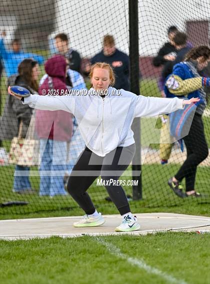 Thumbnail 1 in Wes-Del Triangular (Discus)  photogallery.