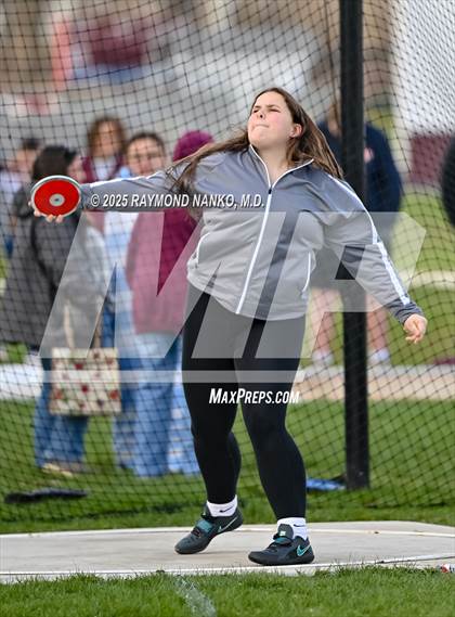 Thumbnail 1 in Wes-Del Triangular (Discus)  photogallery.